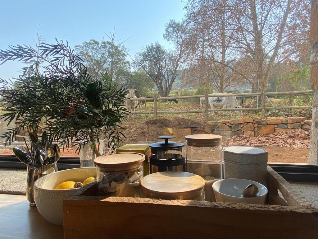 Yellowwoods Farm - Willoughbys Cottage And Old Stables Cottage Curryʼs Post Exterior foto